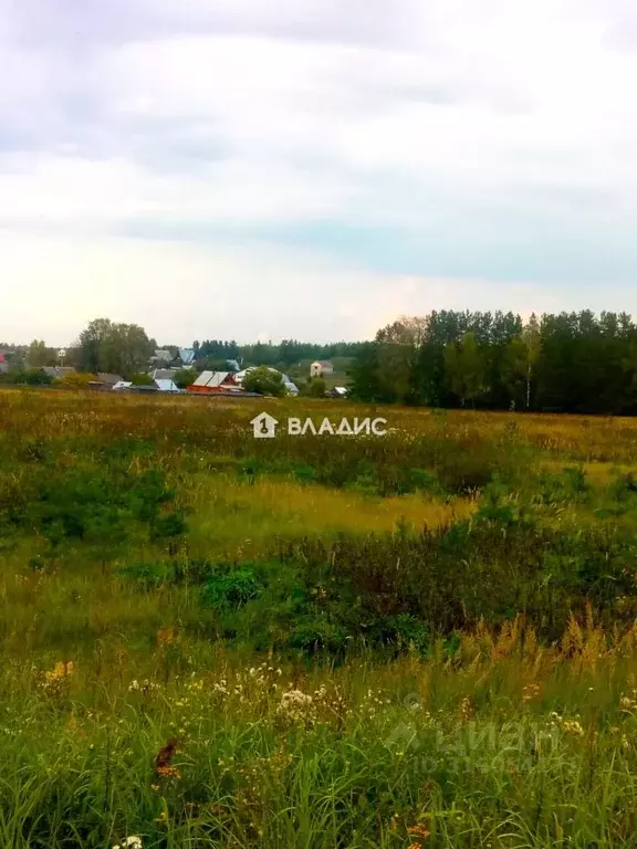 Участок в Владимирская область, Судогодский район, Андреевское ... - Фото 1