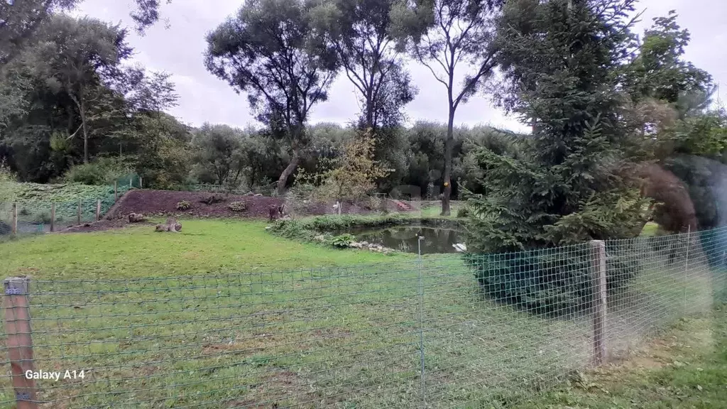 Участок в Калужская область, Перемышльский муниципальный округ, ... - Фото 1