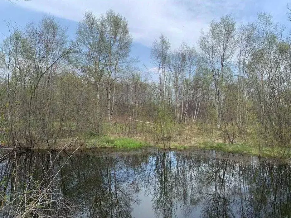 Участок в Хабаровский край, Николаевск-на-Амуре Сибирская ул., 93 ... - Фото 0