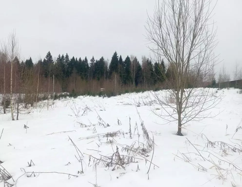 Участок в Московская область, Сергиево-Посадский городской округ, ... - Фото 0