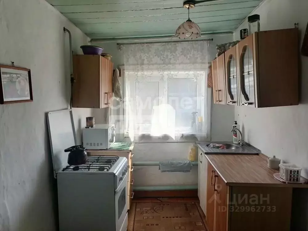 Дом в Челябинская область, с. Еткуль пер. 4-й (55 м) - Фото 1