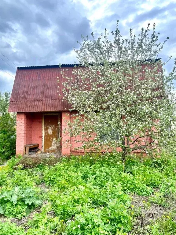 Дом в Омская область, Омск СОСН Любитель-2 тер., 548 (22 м) - Фото 0
