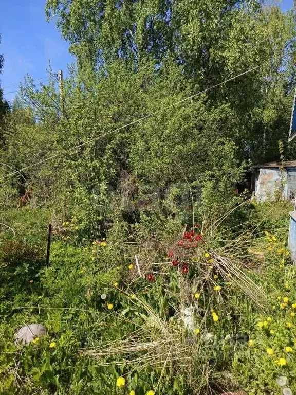 Дом в Ярославская область, Рыбинск Виктория СНТ, 65 (16 м) - Фото 2