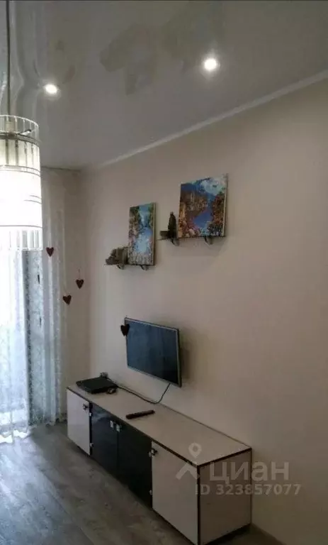 Студия Алтайский край, Барнаул ул. Никитина, 133 (24.0 м) - Фото 2