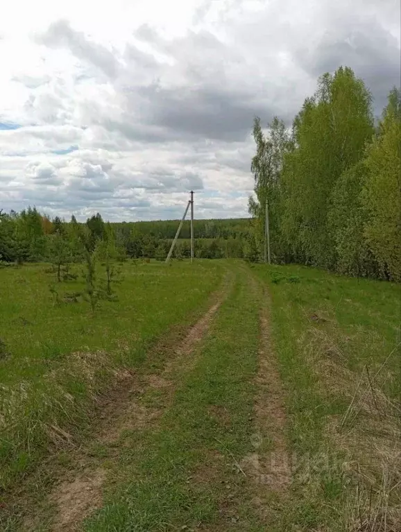 Участок в Нижегородская область, Кстовский муниципальный округ, д. ... - Фото 1