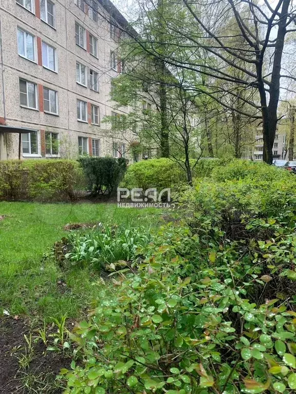 3-к. квартира, 54,5 м, 5/5 эт. - Фото 1