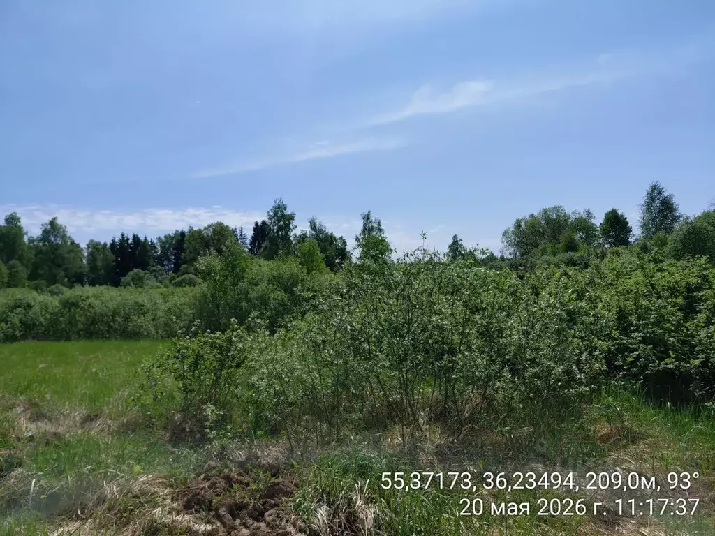 Участок в Московская область, Наро-Фоминский городской округ, д. ... - Фото 1