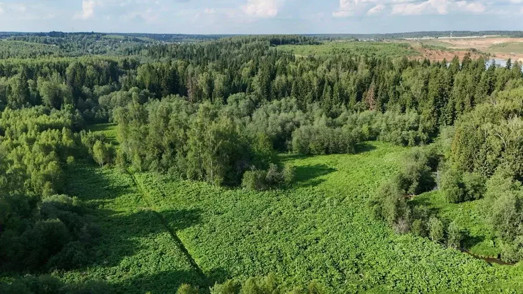 Участок в Московская область, Дмитровский городской округ, Усадьбы ... - Фото 0