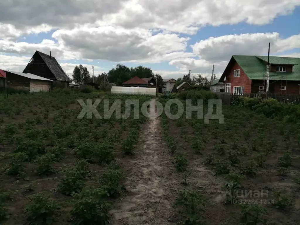 Дом в Новосибирская область, Новосибирский район, с. Барышево ул. ... - Фото 2