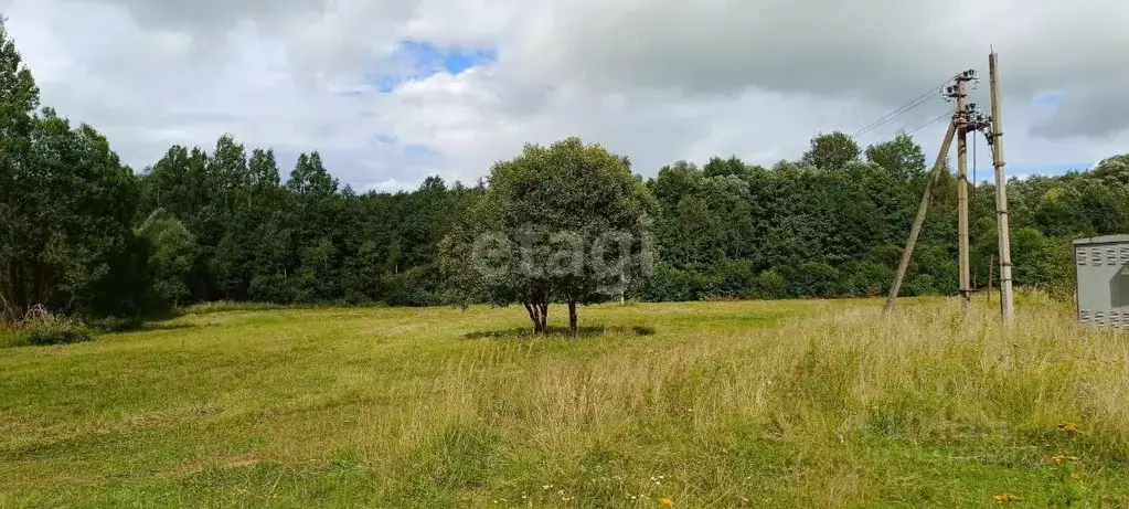 Участок в Калужская область, Малоярославецкий район, Детчино с/пос, д. ... - Фото 0