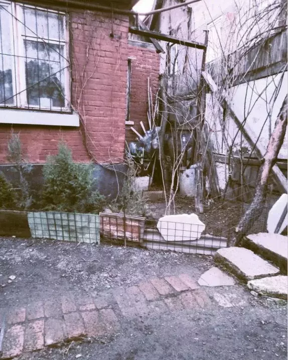 Дом в Ростовская область, Ростов-на-Дону Державинский пер., 9 (60 м) - Фото 2