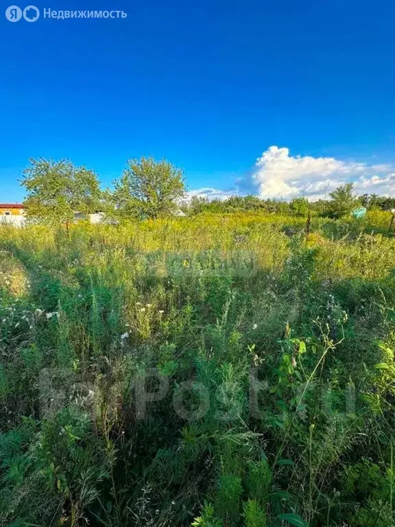Участок в Смидовичский район, село Осиновка, Осиновая улица, 2 (1818 ... - Фото 0