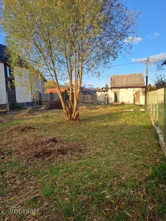 Участок в Калининградская область, Калининград Радуга СНТ, пер. ... - Фото 2