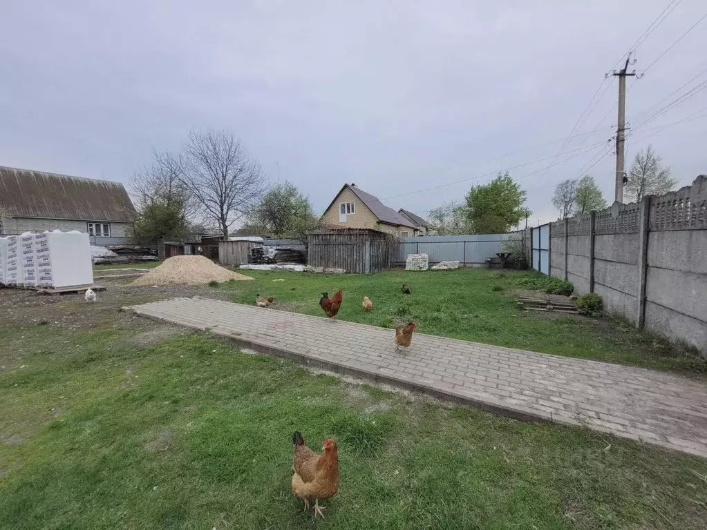 Участок в Брянская область, Навля рп ул. Карла Маркса (10.7 сот.) - Фото 1