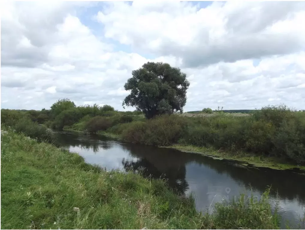 Участок в Рязанская область, Путятинский муниципальный округ, с. ... - Фото 1