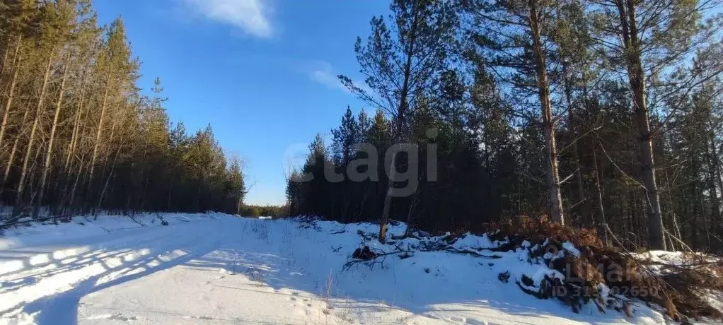 Участок в Свердловская область, Талица ул. Луначарского (11.0 сот.) - Фото 0