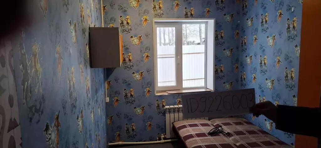 Дом в Ленинградская область, Лужский район, Заклинское с/пос, д. Нелаи ... - Фото 2