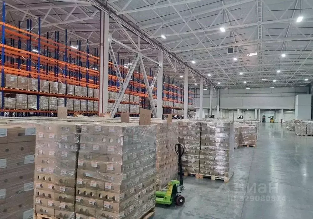 Помещение свободного назначения в Московская область, Мытищи городской ... - Фото 1