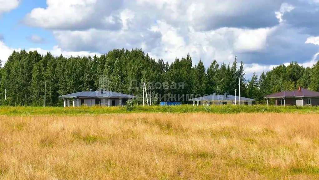 Участок в Новгородская область, Новгородский муниципальный округ, ... - Фото 1