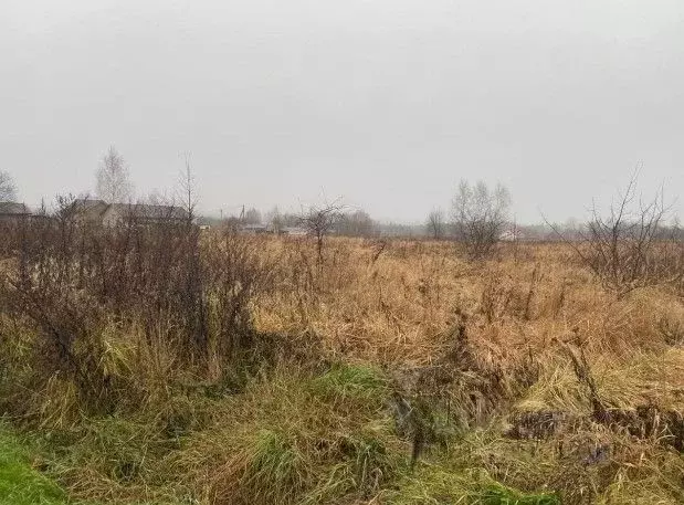 Участок в Московская область, Серпухов городской округ, д. Нефедово  ... - Фото 1