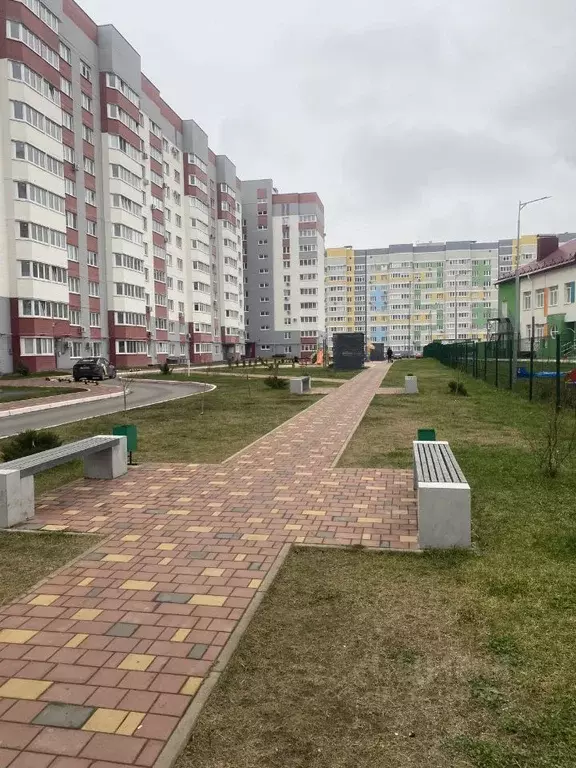 1-к кв. Брянская область, Брянск ул. Имени О.Н. Строкина, 7 (39.9 м) - Фото 1