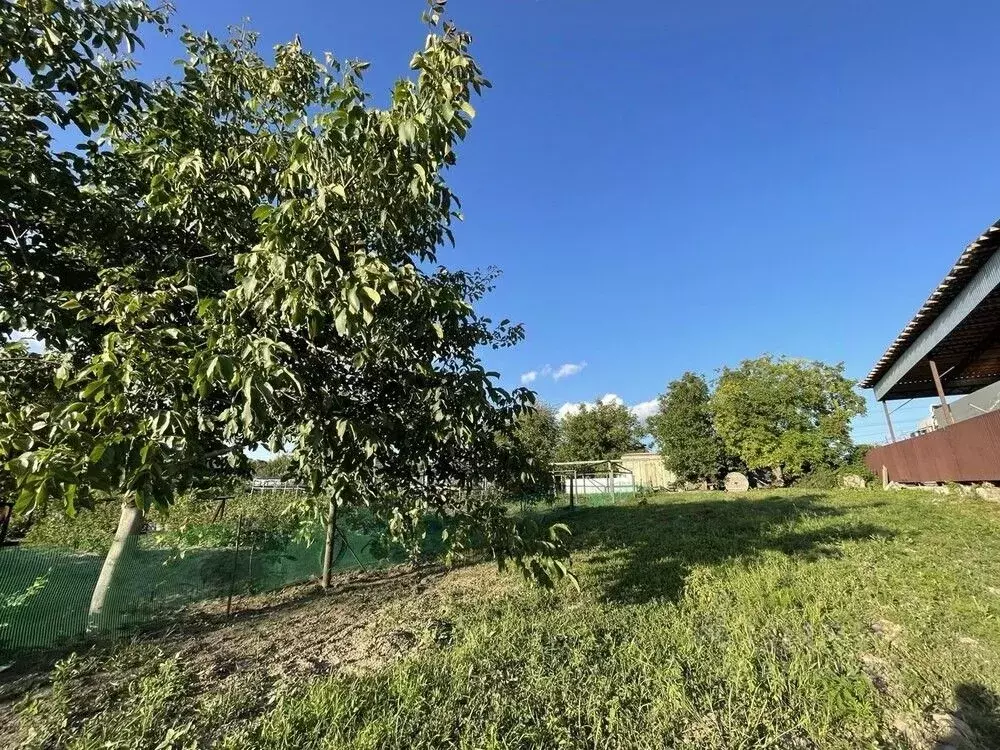 Участок в Краснодарский край, Анапа муниципальный округ, с. Юровка ул. ... - Фото 2