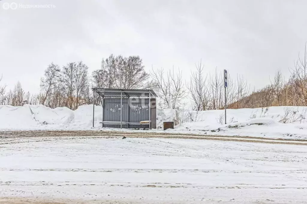 Участок в Бердск, СНТ Марьин Лог, 59-я улица (5.8 м) - Фото 1