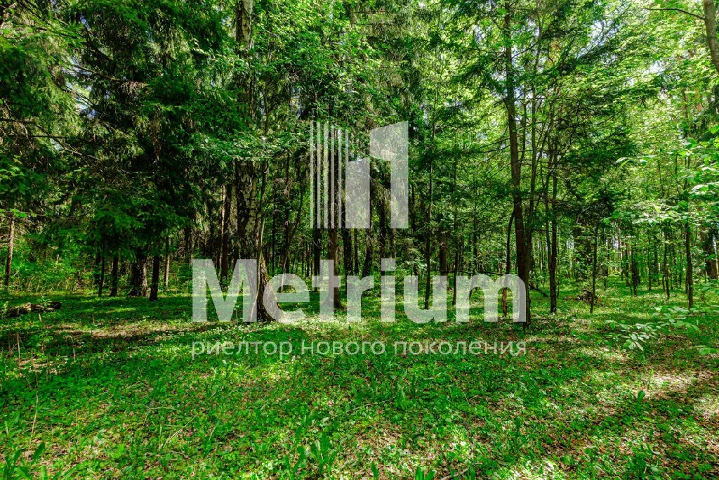 Продается участок в КП Лесные зори - Фото 1