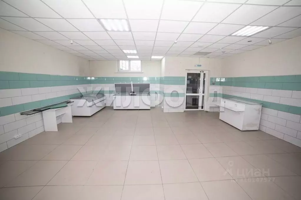 3-к кв. Новосибирская область, Новосибирский район, Краснообск рп 246 ... - Фото 0