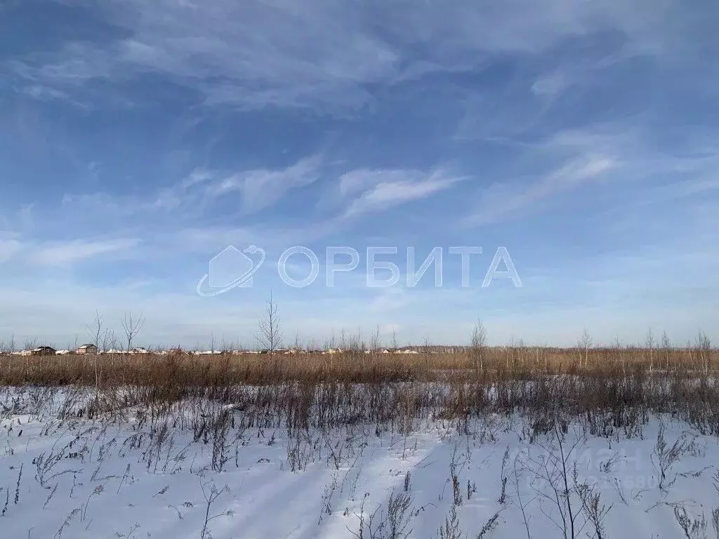 Участок в Тюменская область, Тюменский муниципальный округ, ... - Фото 2