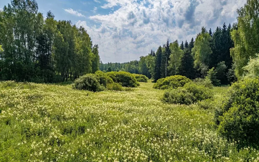 Участок в Калужская область, Боровский муниципальный округ, д. ... - Фото 2