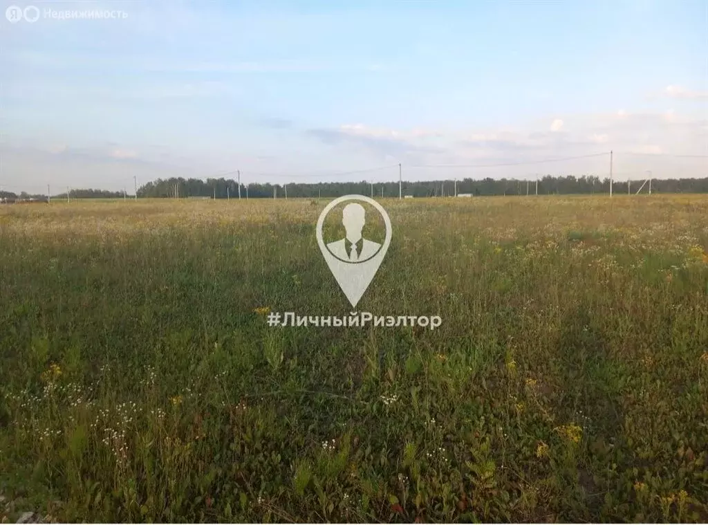 Участок в Рязанская область, Рыбновский муниципальный округ (8 м) - Фото 1