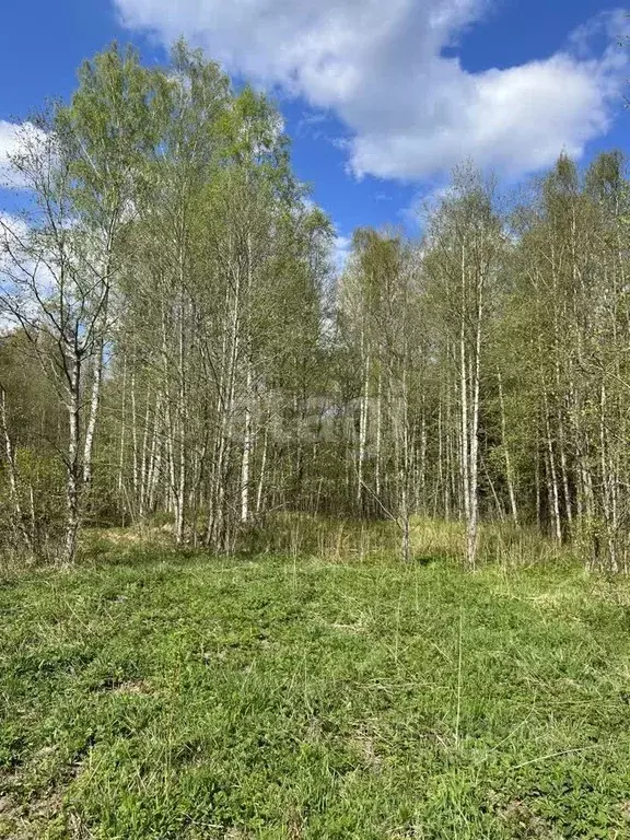 Участок в Ленинградская область, Всеволожский район, Колтушское ... - Фото 0