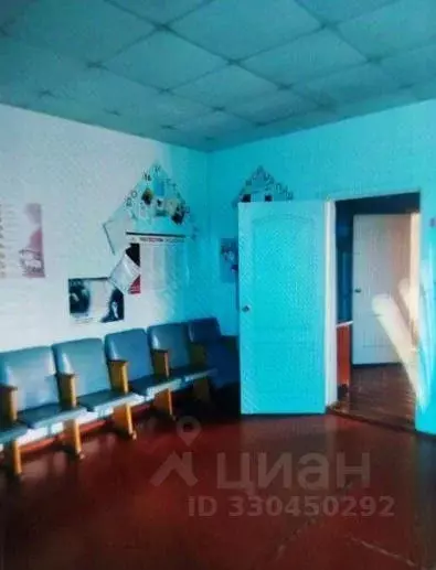 Помещение свободного назначения в Курганская область, Лебяжьевский ... - Фото 1