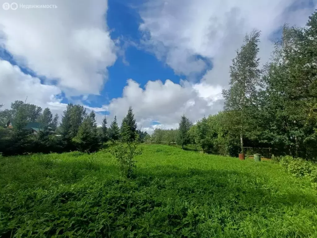 Дом в городской посёлок Вырица, Коммунальный проспект (64 м) - Фото 0