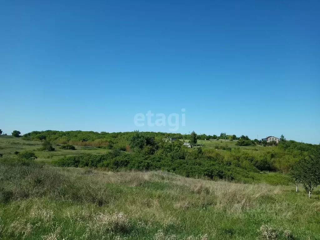 Участок в Саратовская область, Балашовский район, Хоперское ... - Фото 0