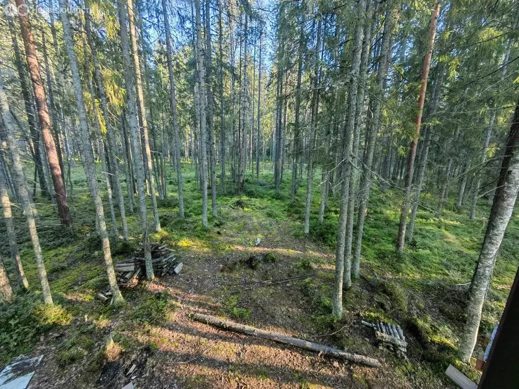 Дом в Выборгский район, Гончаровское сельское поселение, ДНП ... - Фото 1