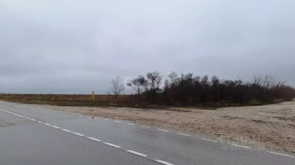 Участок в Крым, Кировский район, с. Приветное ул. Трудовая (950.0 ... - Фото 1