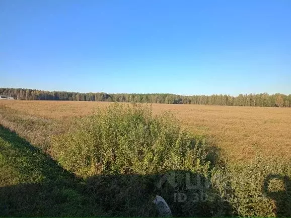 Участок в Челябинская область, Сосновский район, Краснопольское с/пос, ... - Фото 1