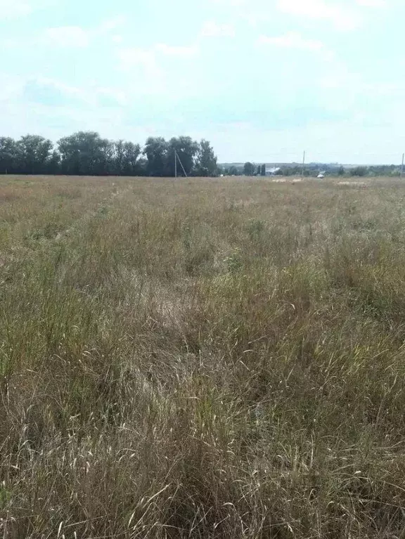 Участок в Воронежская область, Хохольский район, с. Гремячье Садовая ... - Фото 1