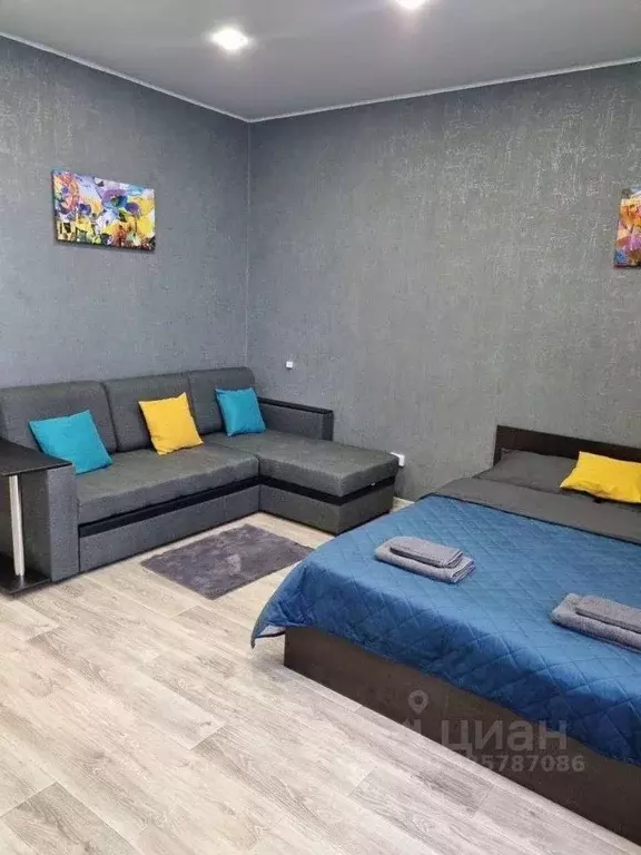 Студия Волгоградская область, Волгоград ул. Тимирязева, 19А (29.0 м) - Фото 1