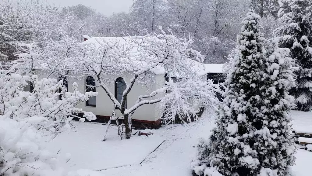 Дом в Калужская область, Дзержинский муниципальный округ, Льва ... - Фото 2
