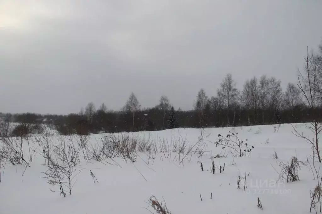 Участок в Московская область, Шаховская муниципальный округ, д. ... - Фото 2