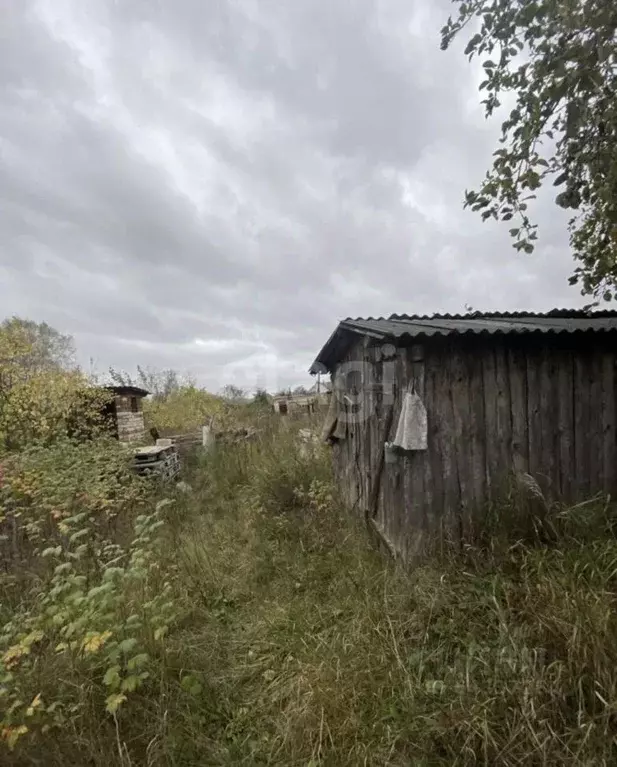 Участок в Нижегородская область, Выкса городской округ, Досчатое рп ... - Фото 1