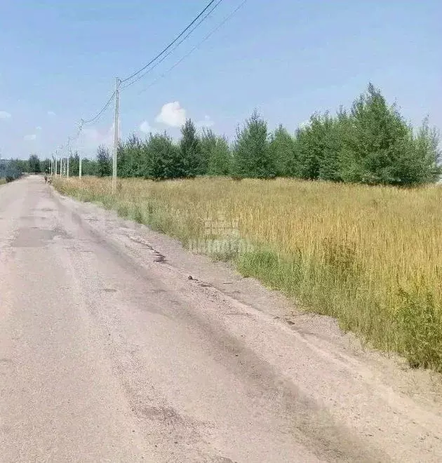 Участок в Воронежская область, Рамонский район, Новоживотинновское ... - Фото 2