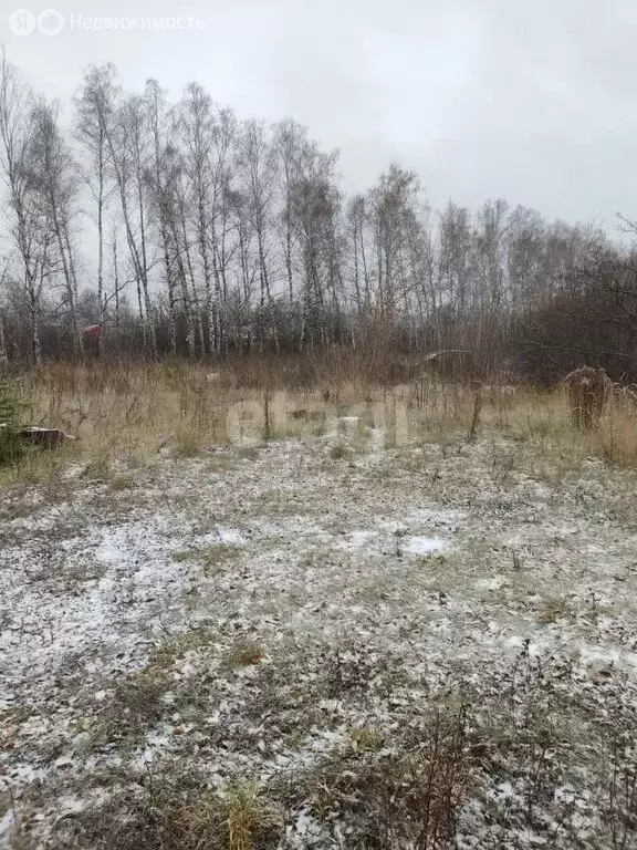 Участок в Пензенский район, Воскресеновский сельсовет, село Большая ... - Фото 0