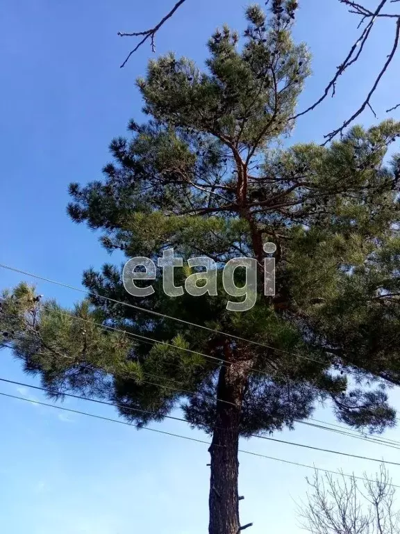 Участок в Краснодарский край, Новороссийск городской округ, с. ... - Фото 1