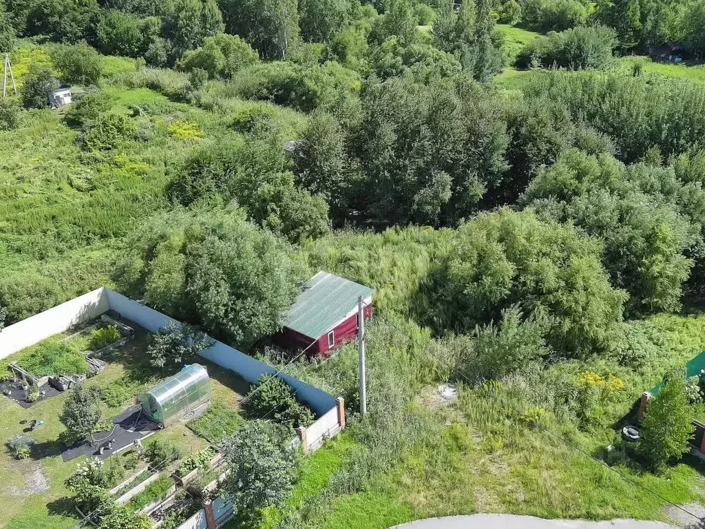 Участок в Хабаровский край, Хабаровский район, Тополевское с/пос, с. ... - Фото 2