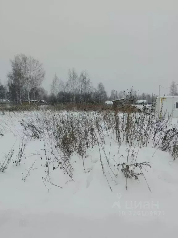 Участок в Тюменская область, Нижнетавдинский муниципальный округ, ... - Фото 1