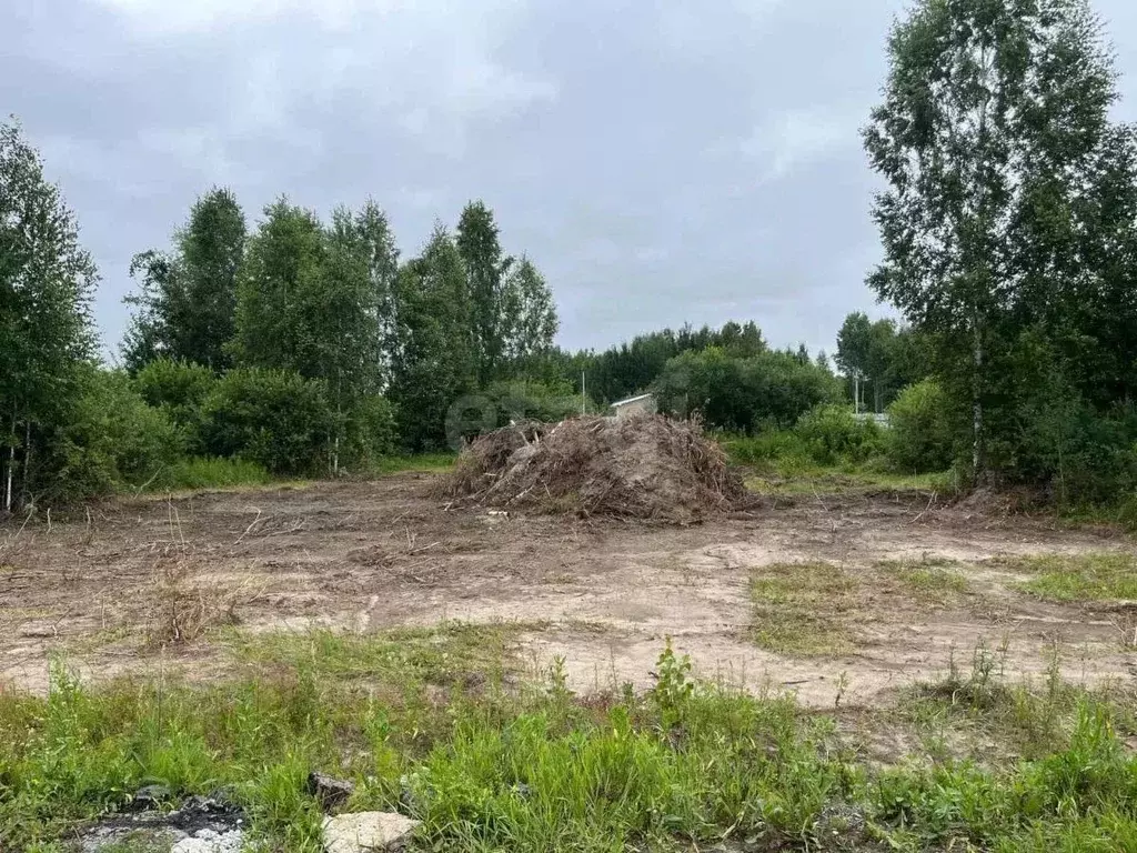 Участок в Тюменская область, Нижнетавдинский муниципальный округ, ... - Фото 1